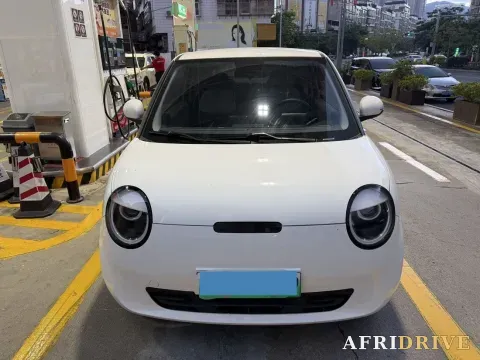 2022 Levdeo Mango 2