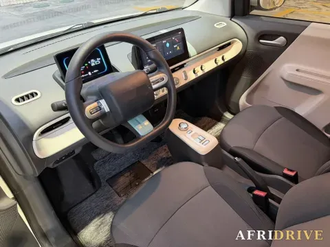 2022 Levdeo Mango 4