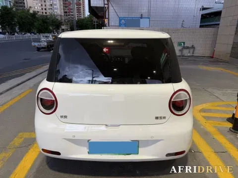 2022 Levdeo Mango 6