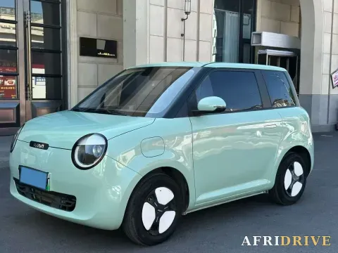 2022 Levdeo Mango