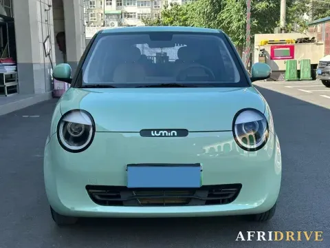2022 Levdeo Mango 2