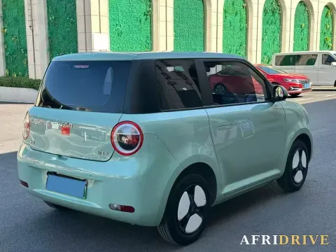 2022 Levdeo Mango 7