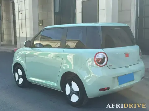 2022 Levdeo Mango 8