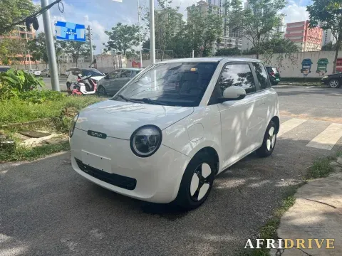 2022 Levdeo Mango