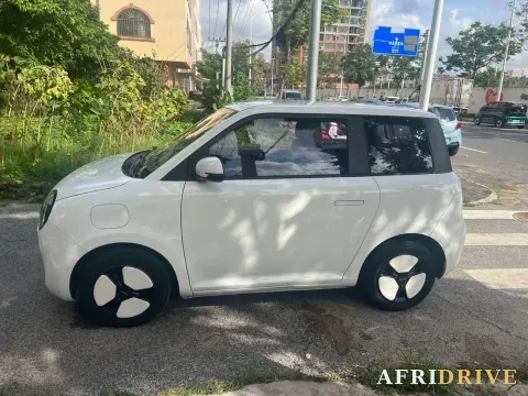 2022 Levdeo Mango 2