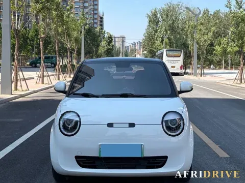 2022 Levdeo Mango 2
