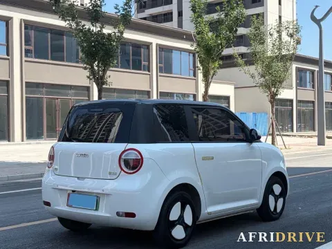 2022 Levdeo Mango 4