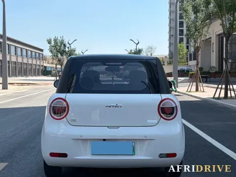 2022 Levdeo Mango 5