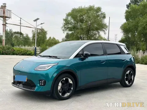 2025 Skyworth EV6