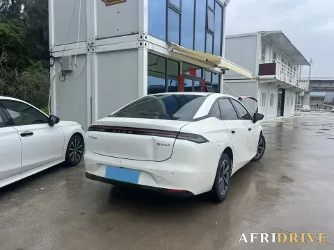 2024 Exceed TXL 6