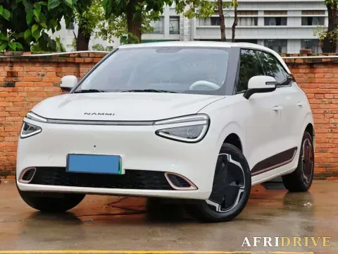 2024 DongFeng eπ 01