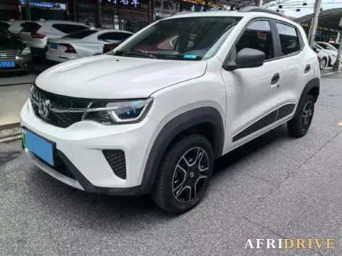 2022 DongFeng eπ Nami EX1