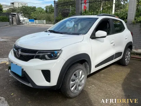 2021 DongFeng eπ Nami EX1