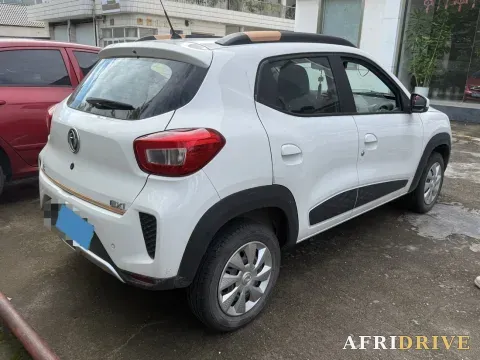 2021 DongFeng eπ Nami EX1 5
