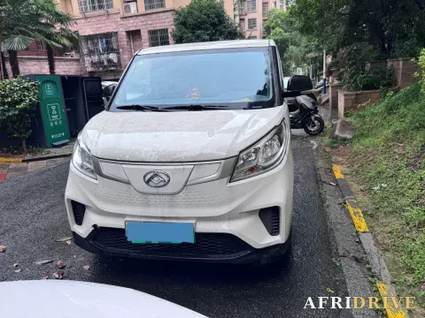 2023 MAXUS EV30 2