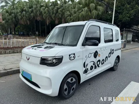 2025 WuLing ZhiGuang