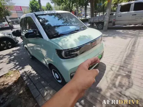 2022 Levdeo Mango 2