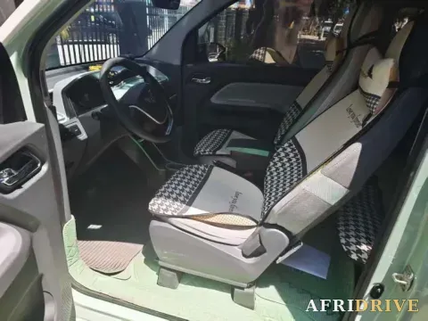 2022 Levdeo Mango 5
