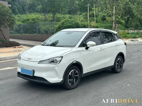 2021 Neta V