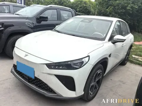 2024 Neta L
