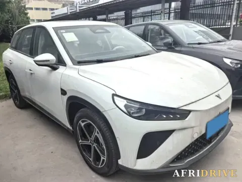 2024 Neta L 2
