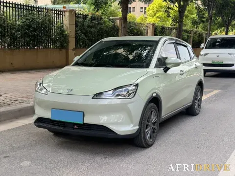 2022 Neta V