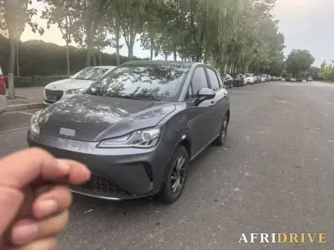 2022 Neta V