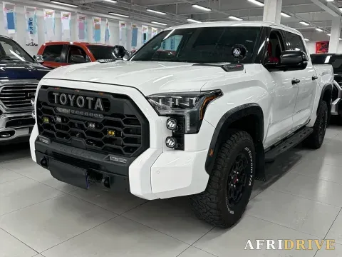 2022 Tank 300