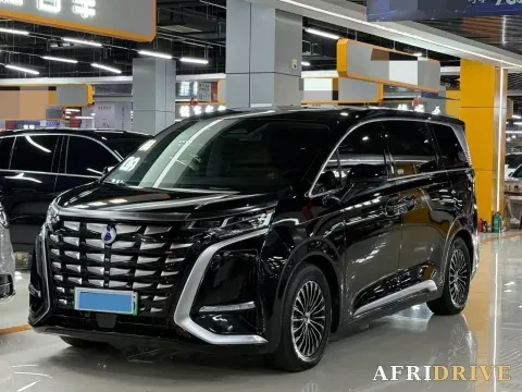 2024 Denza D9