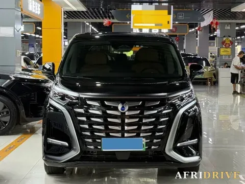 2024 Denza D9 2