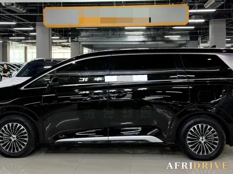 2024 Denza D9 3