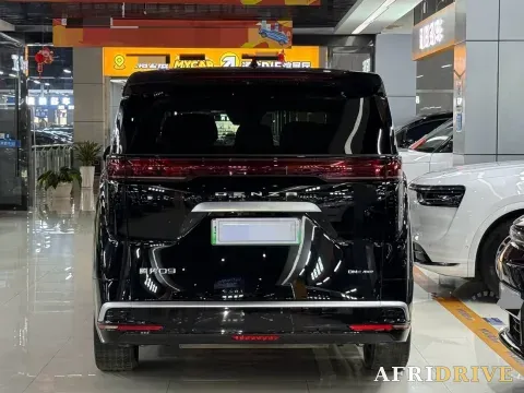 2024 Denza D9 4