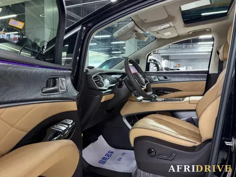 2024 Denza D9 6