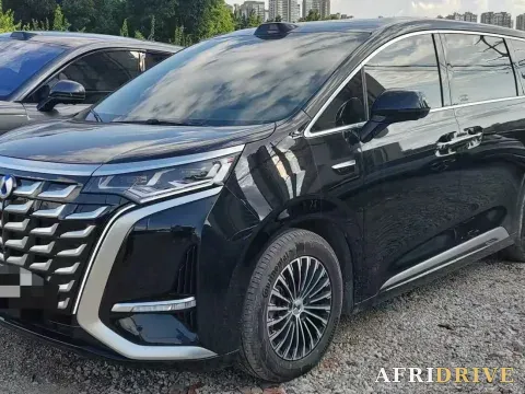 2025 Denza D9
