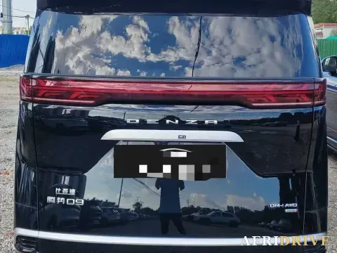 2025 Denza D9 6