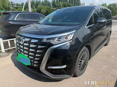 2022 Denza D9