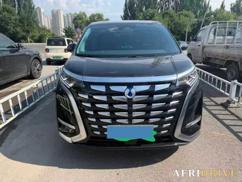 2022 Denza D9 2