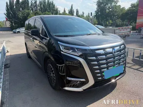 2022 Denza D9 3