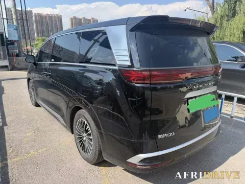 2022 Denza D9 4