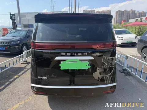 2022 Denza D9 5