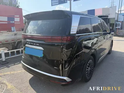 2022 Denza D9 6