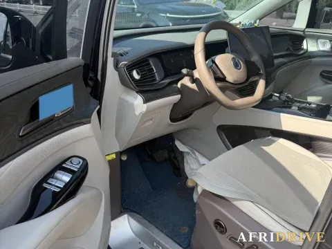 2022 Denza D9 7