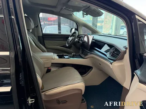 2022 Denza D9 8