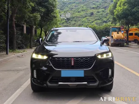 2019 WEY VV7 2
