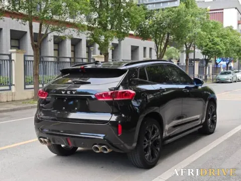 2019 WEY VV7 9