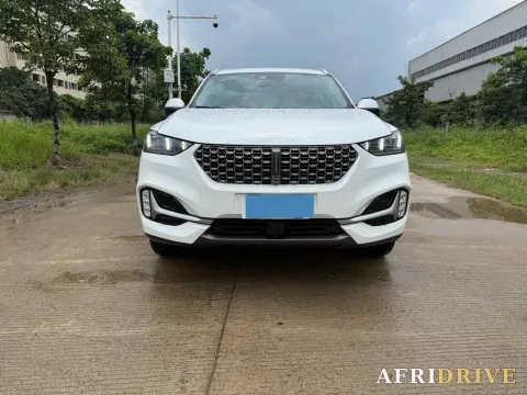 2021 WEY VV6 2
