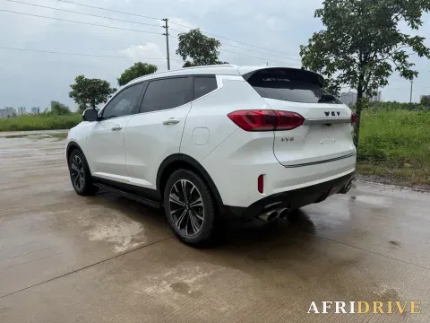 2021 WEY VV6 7