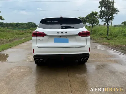 2021 WEY VV6 8