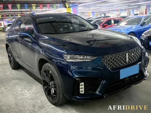 2020 WEY VV7 3