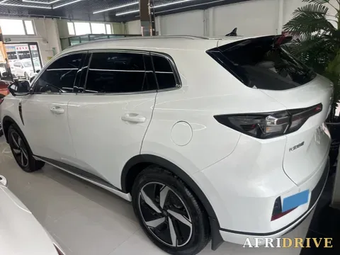 2023 Venucia VX6 7
